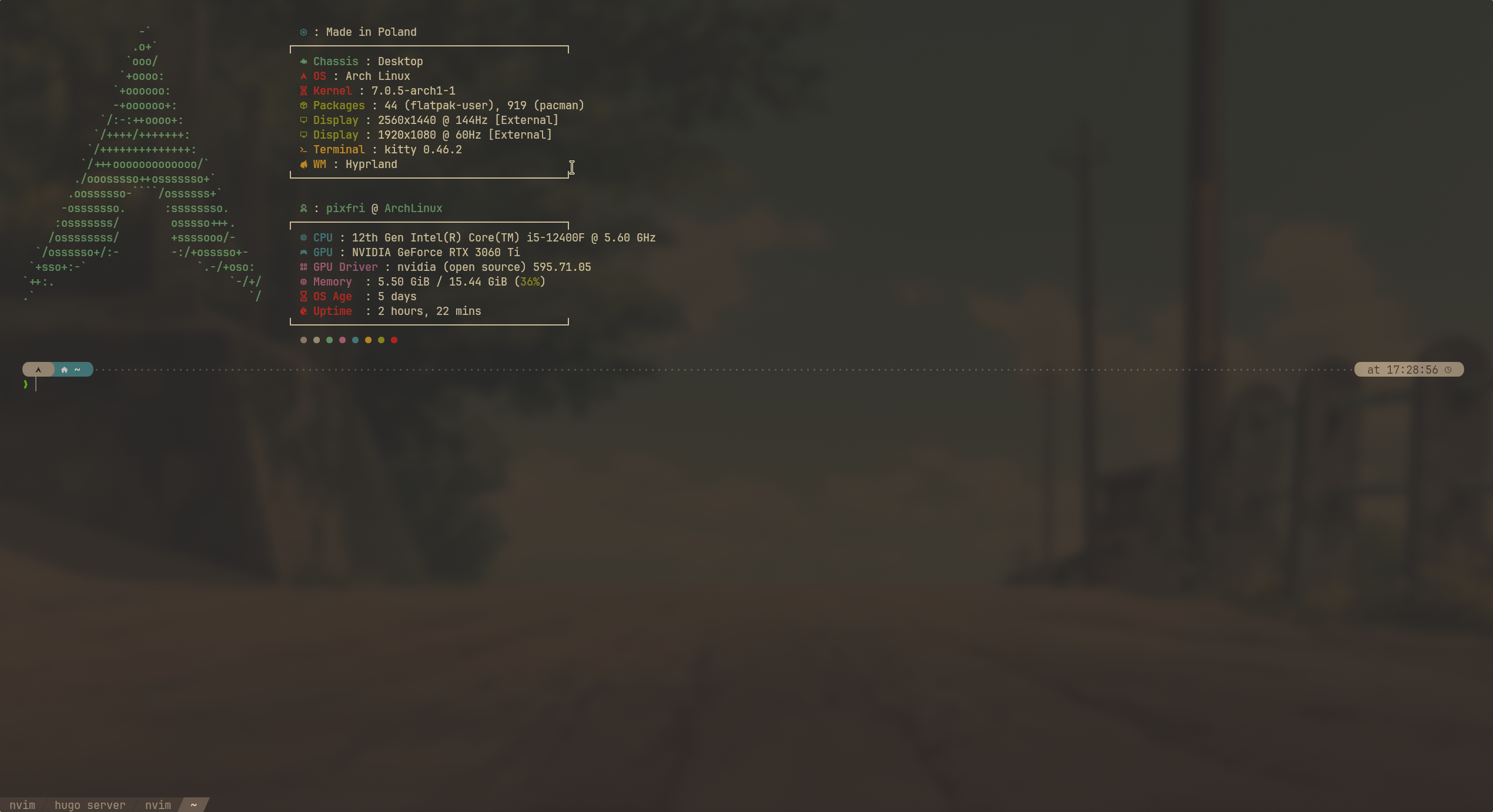 My terminal